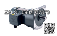 Motor giảm tốc mini Wanshsin 80YS25DV22 25W 1 Pha 220V