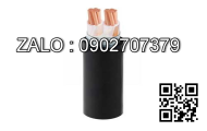 Dây điện bọc nhựa PVC (ruột đồng) VCm-2.5-(1x50/0.25)--450/750V