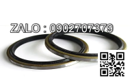 Oil Seal - Rear 100*125*12FJ