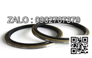 Oil Seal - Rear 100*125*12FJ