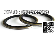 Oil Seal - Rear 100*125*12FJ