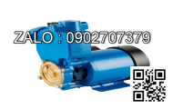 Máy bơm nước tăng áp A130JAK (125W)
