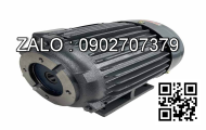 TRN11586 VACUUM MOTOR