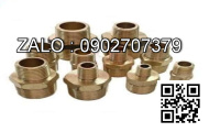 Nối răng trong - răng ngoài thủy lực phi 17mm