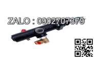 Heo thắng cái TAILIFT FD40-50