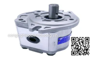 Van điều chỉnh áp RV-02G-H ASHUN