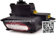 Van điều chỉnh áp RV-02G-H ASHUN