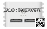 2 cổng sạc USB 2.1A Clipsal / Schneider E8432USB_SZ_G19