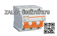 MCB LS 2 Cực 6 KA 25 A BKN-2P625