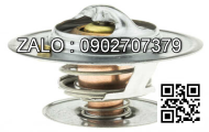 Sửa chữa động cơ FORD BSD444 , SHORT , CM3