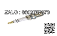 Nút bịt ren trong thau DN32