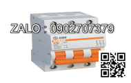 MCB LS 2 Cực 6 KA 25 A BKN-2P625