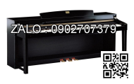 Y lọc mặt bích Inox 304 DN2