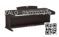Y lọc mặt bích Inox 304 DN2