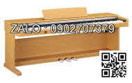 Y lọc mặt bích Inox 304 DN2