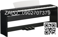 Y lọc mặt bích Inox 304 DN2
