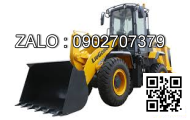 Xe xúc lật XCMG LW168G