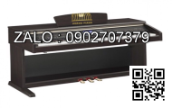 Y lọc mặt bích Inox 304 DN2