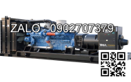Máy phát điện PGODF-3000