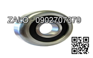 Roller 30311XT(80611K4T)-RF