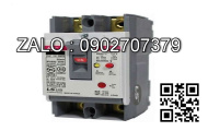Aptomat chống giật LS ELCB 2P 6A 10kA RKP 1P+N