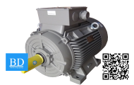 Motor DC model : Z90 150W 220V