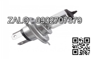 BULB 112481