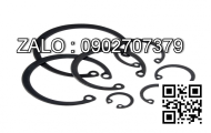 Phe trong D147x4