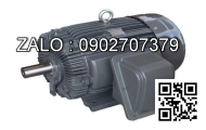 Motor mặt bích 3 pha TransmaX 75kW (3000 RPM) 2 cực Vỏ gang