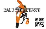 Móc cẩu palang xích điện 5 tấn