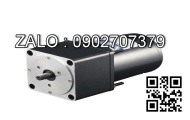 Động cơ DKM motor 9IDGK-200FG