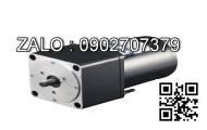 Động cơ DKM motor 9IDDG-150F