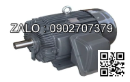Động cơ DKM motor 5IK40JCT2-5S-R