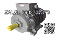 Motor rung dau vao MDL SMI, type: VBM 2M