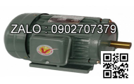 Motor điện căng 4 trục 1 Y2TSP 250M-6, 37kW