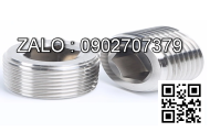 Nắp răng trong BSPT - INOX 304 DN100