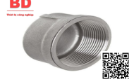 Nắp răng trong BSPT - INOX 304 DN100