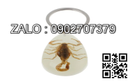 Khóa việt tiệp 2''