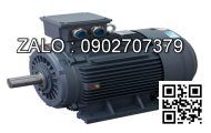 Motor 3 pha 380V 5HP 3.7 KW ( cốt lồi )