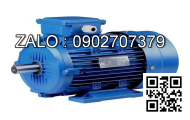 Motor 3 pha 380V 5HP 3.7 KW ( cốt âm ) ( bơm dầu thủy lực )