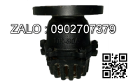 Rọ rôm mặt bích JIS 10K gang DN125