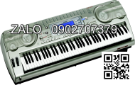 Đàn Organ Casio CTK-2000