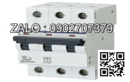 Cầu dao tự động 3RV1031-4FA15, 3P - 28-40A