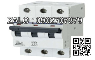 Cầu dao tự động 3RV1031-4FA15, 3P - 28-40A