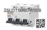 MCB LS 4 Cực 6 KA 25 A BKN-4P625