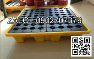 Pallet nhựa hai mặt bông