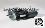 Motor giảm tốc DKM 120w: