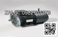 Motor giảm tốc DKM 120w: