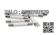 Cầu chì 170M1571D, 250A - 690V