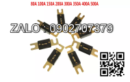Cầu chì 170M1571D, 250A - 690V